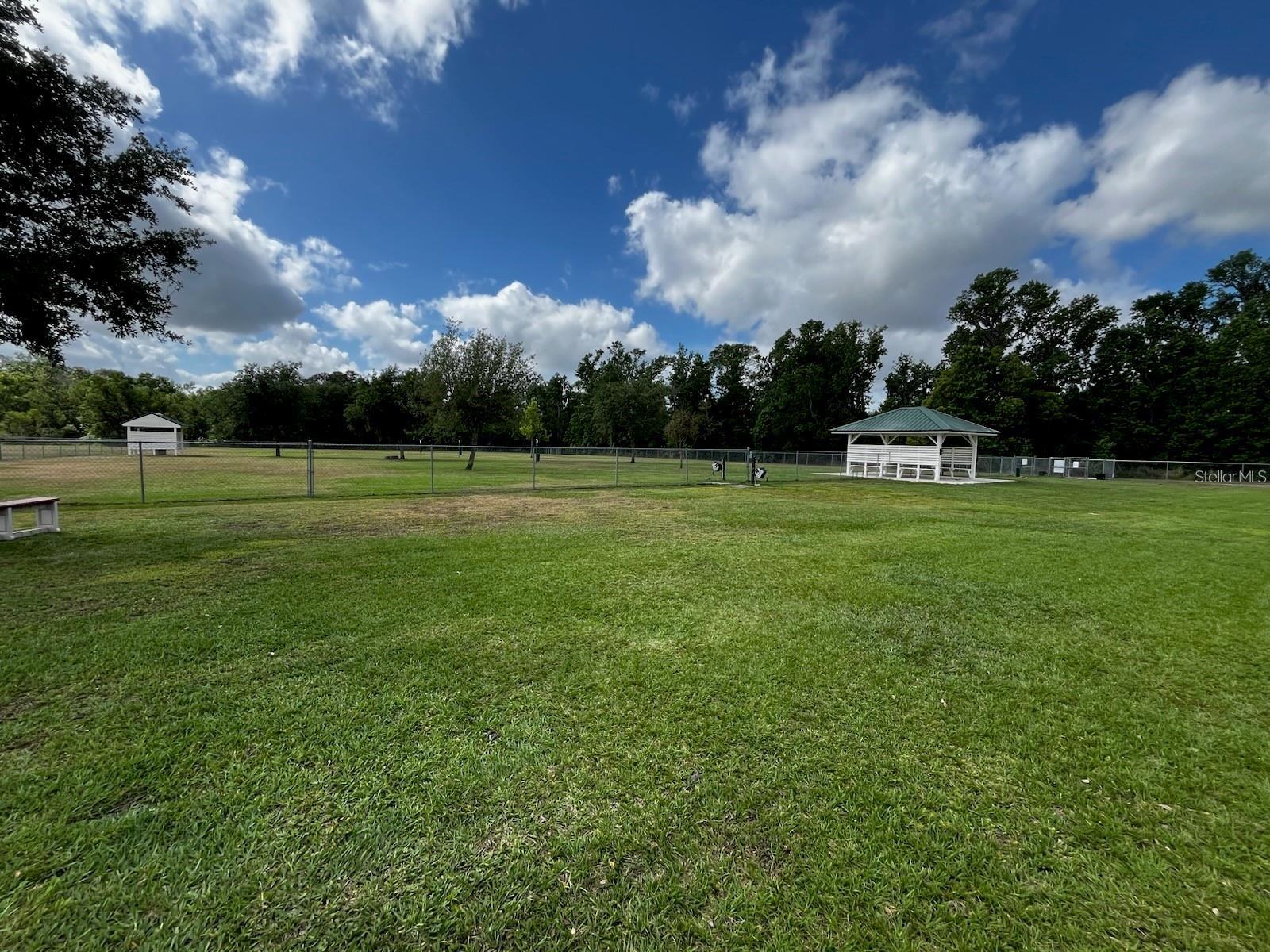 Walden Lake Community Dog Park