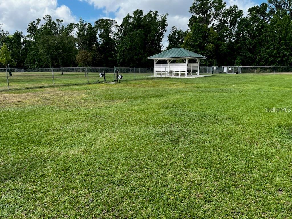 Walden Lake Dog Park (small dog side)