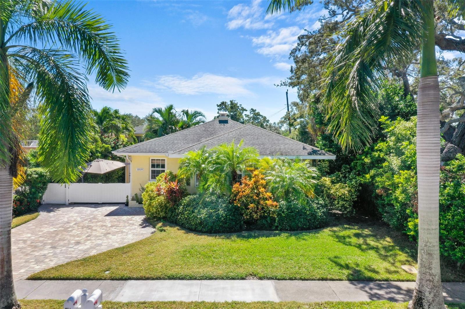 Street view - mature Florida landscaping