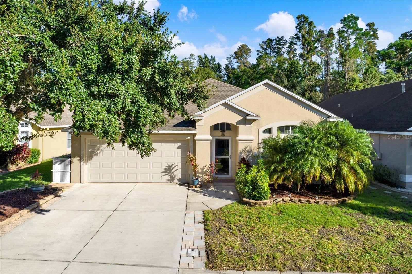 Exterior - Long Driveway  - Private Mailbox