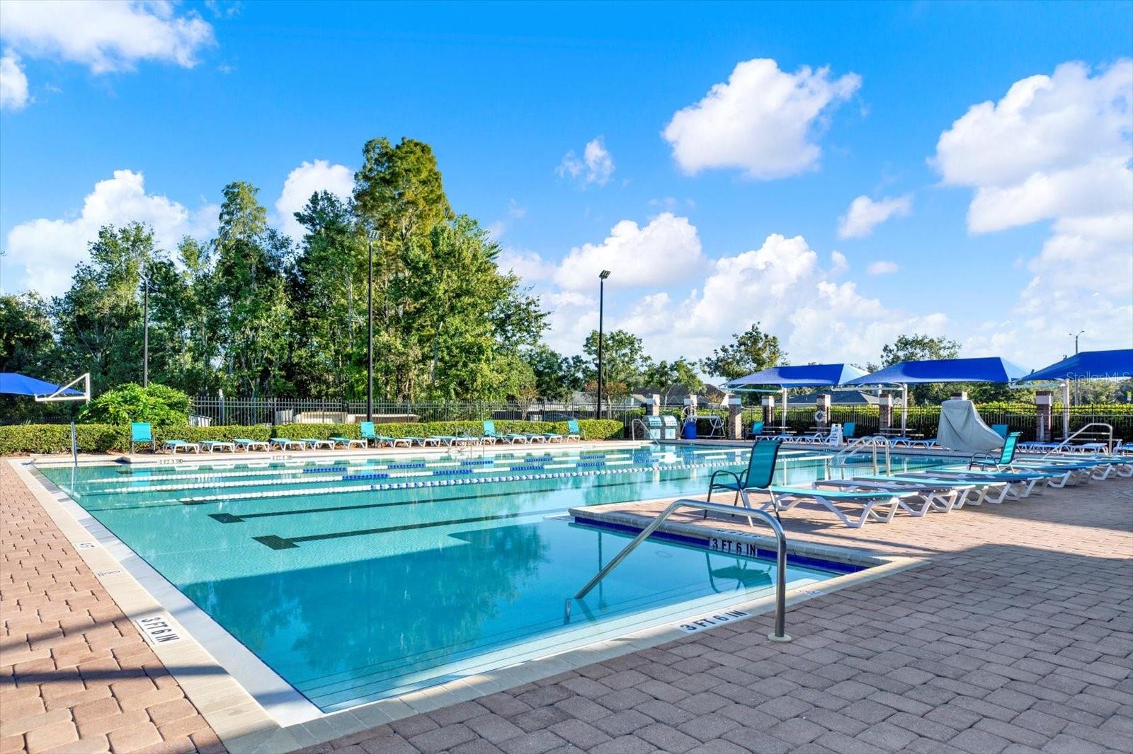 Lap Pool