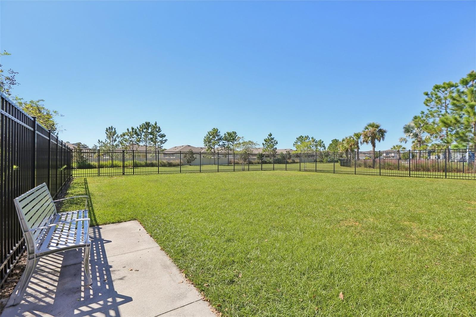 Dog Park