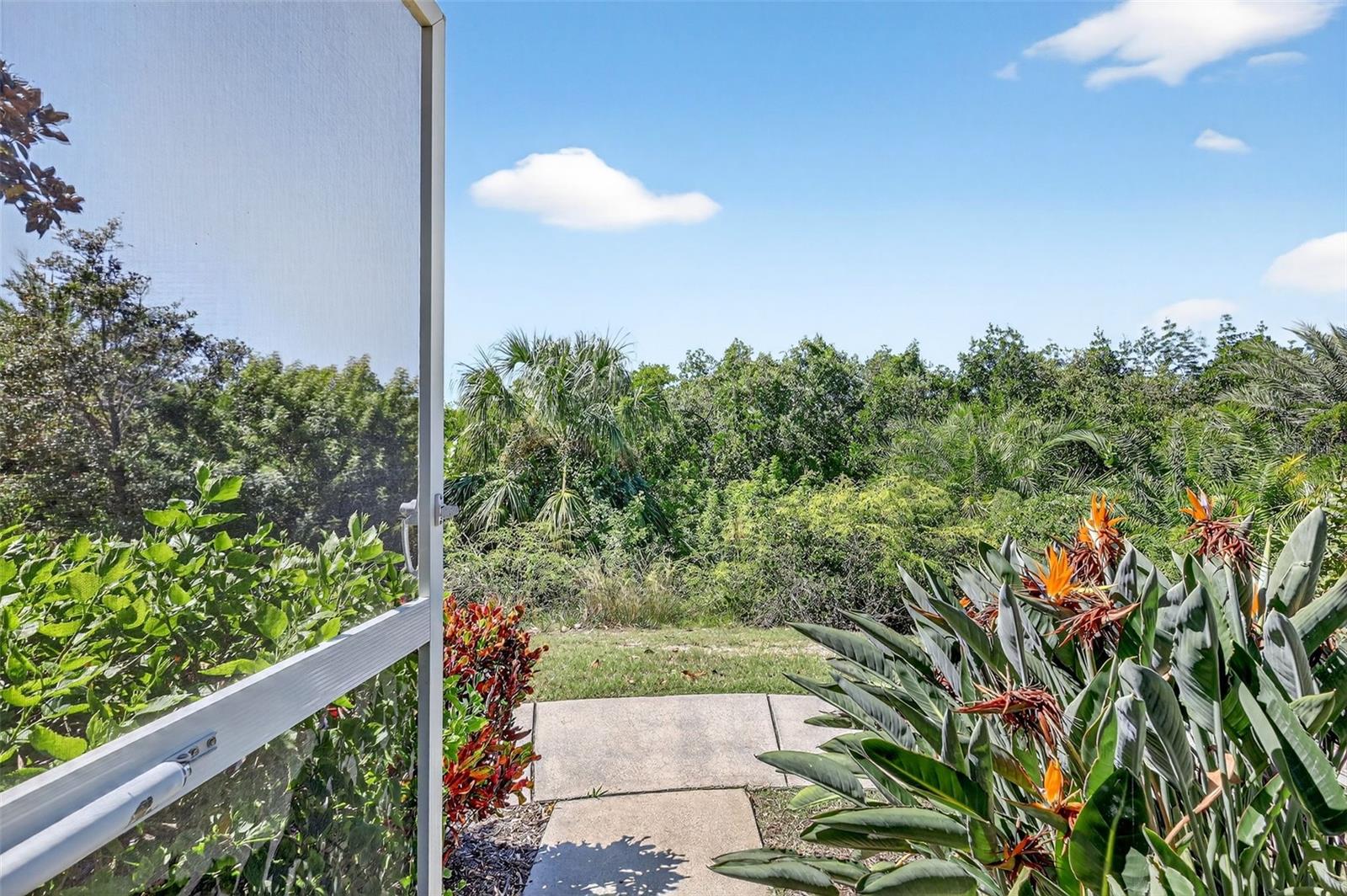 View from Front Patio looking out to Mangroves on the Canal