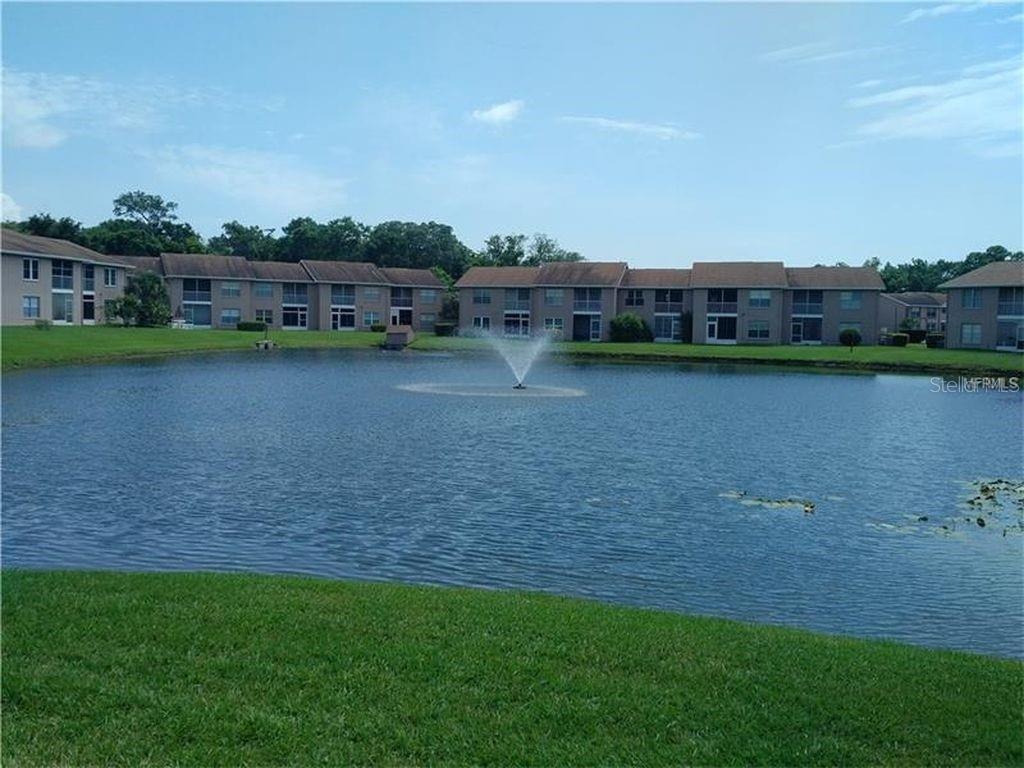 Pond with fountain
