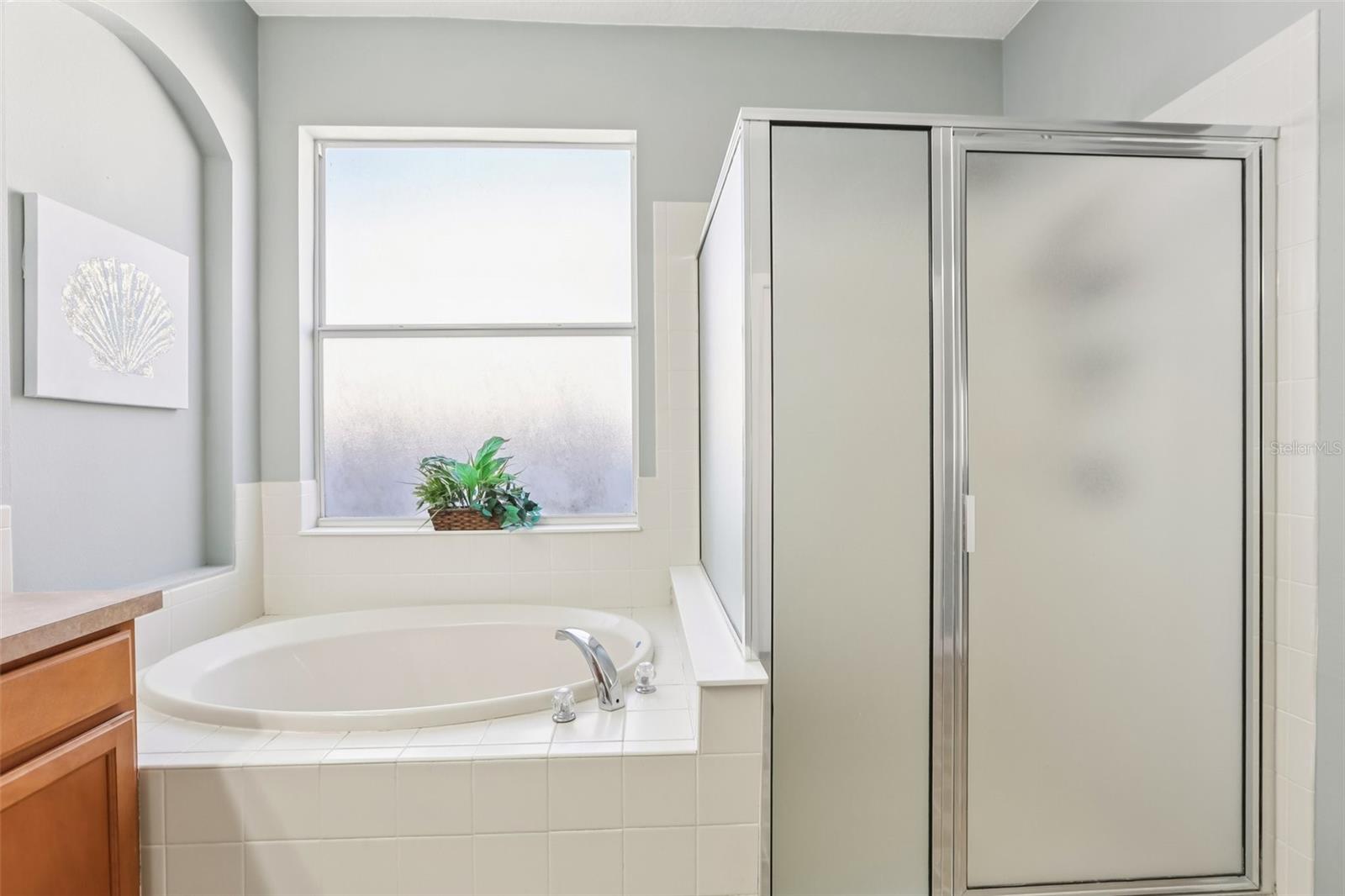 Separate Tub and Shower