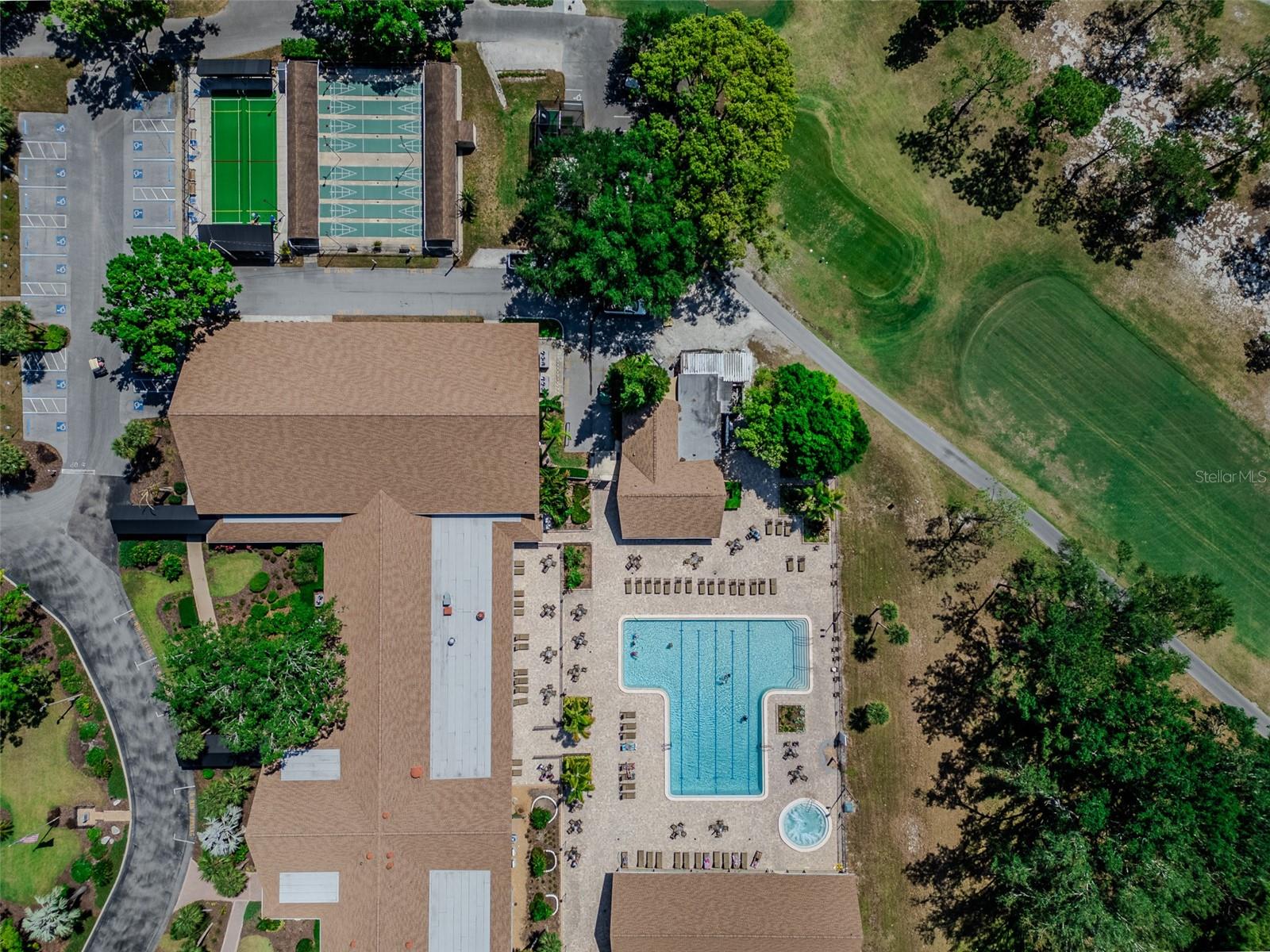 Olympic Sized Heated Pool