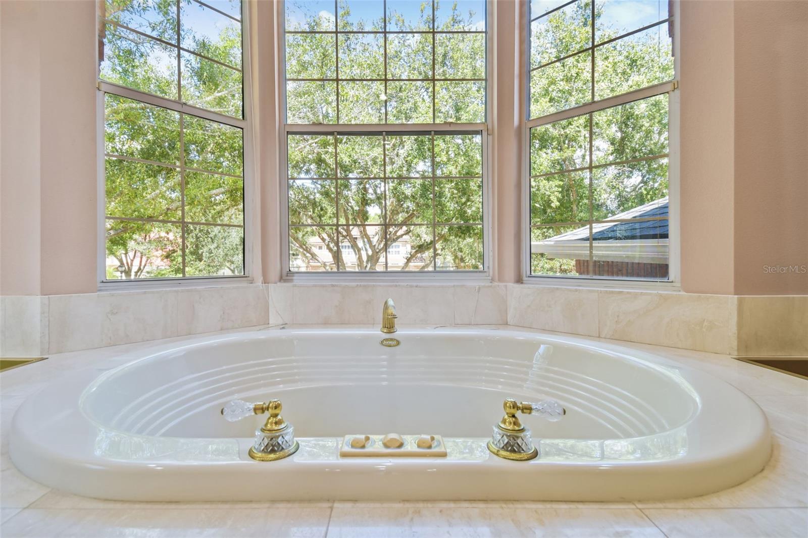 Master Bath tub