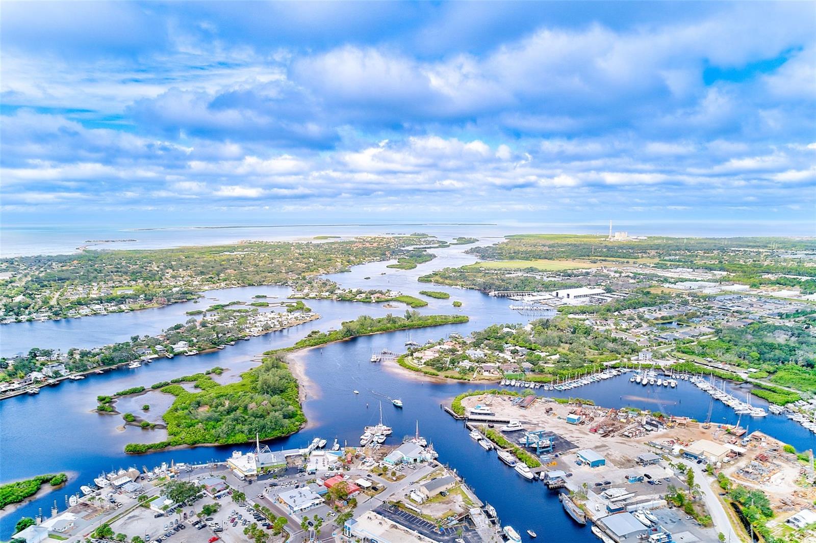 1 BLOCK OFF SPONGE DOCS