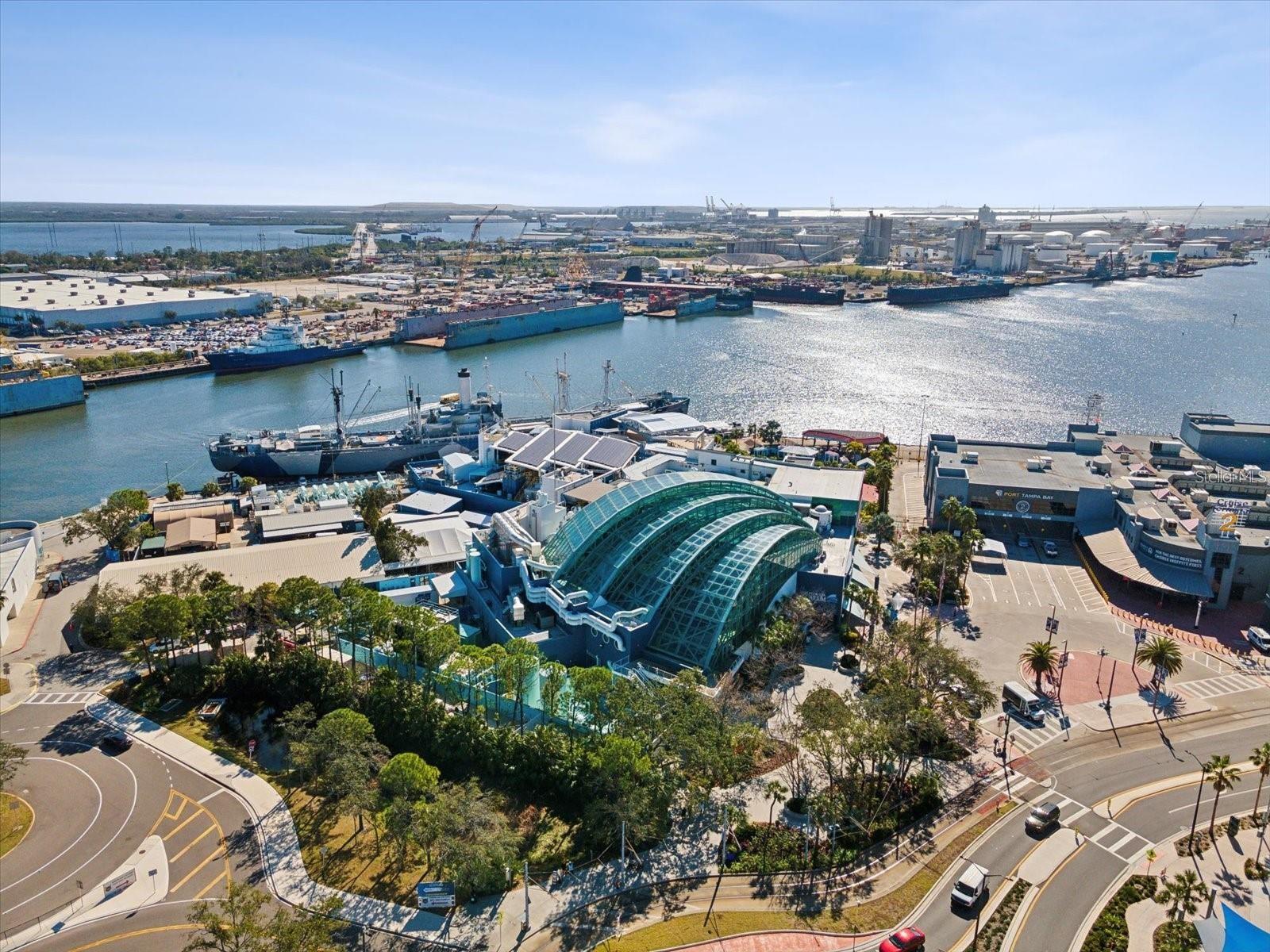 Tampa Aquarium