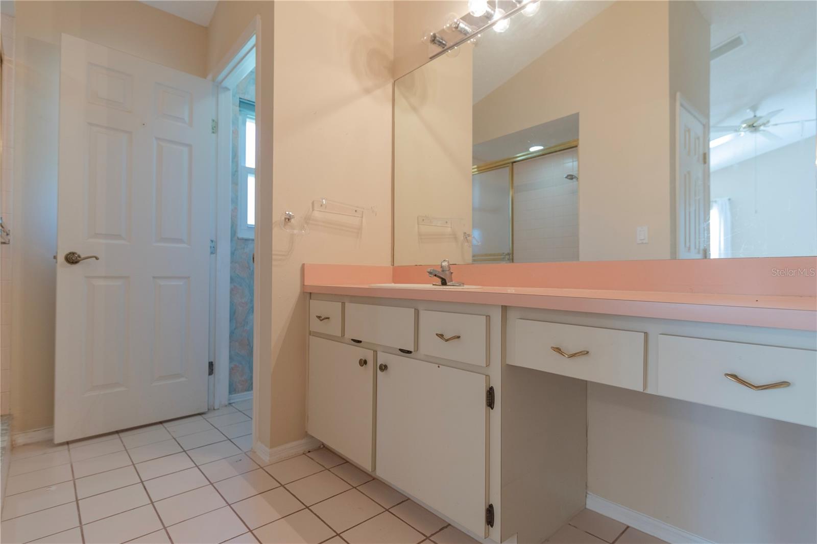 Primary ensuite bathroom with walk-in closet and shower.