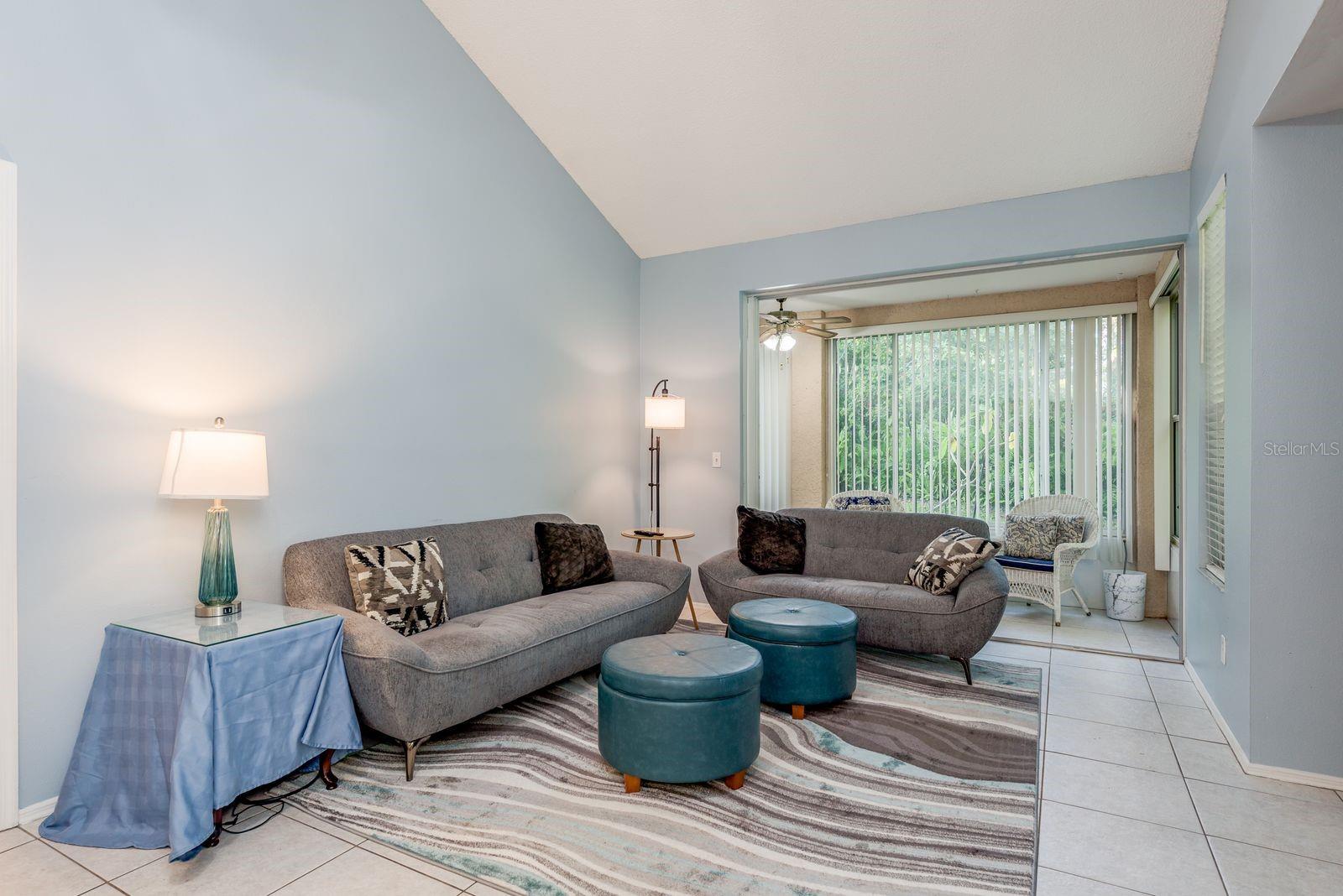Vaulted Ceilings in Living Area