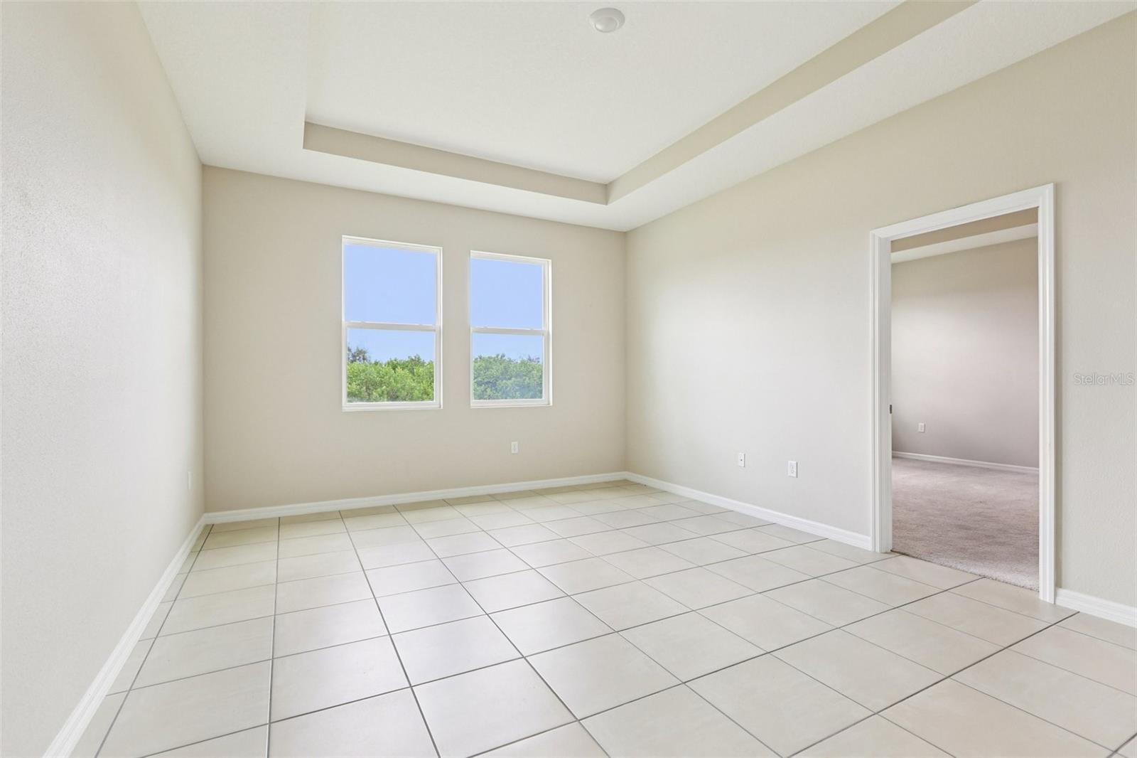 Bonus room/Office