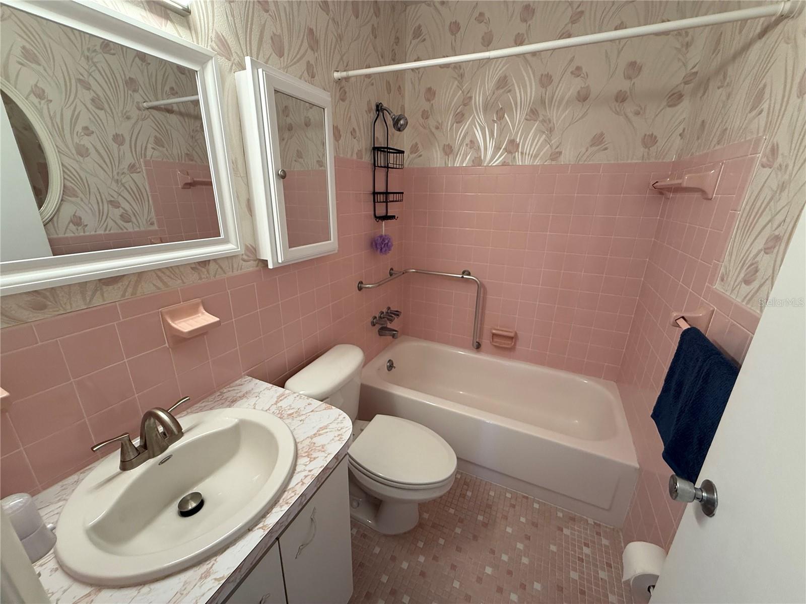 Guest bathroom w/ tub/Shower combo