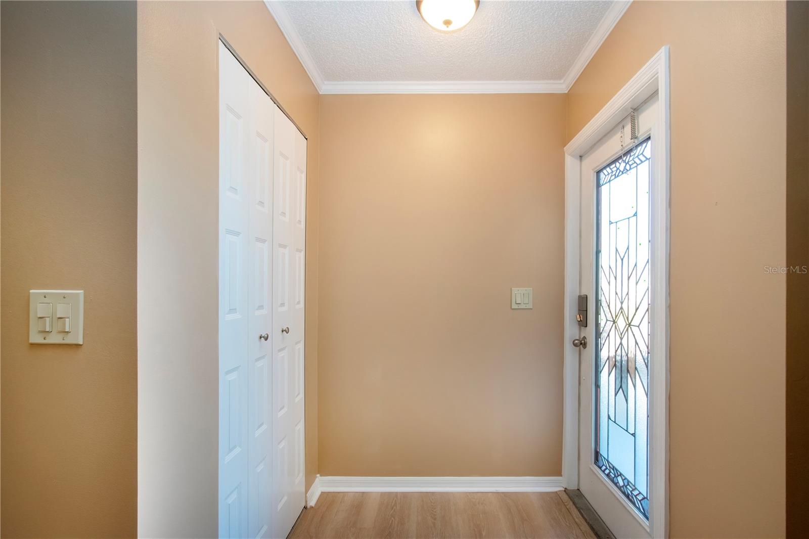 LEAD GLASS ENTRY DOOR/COAT CLOSET