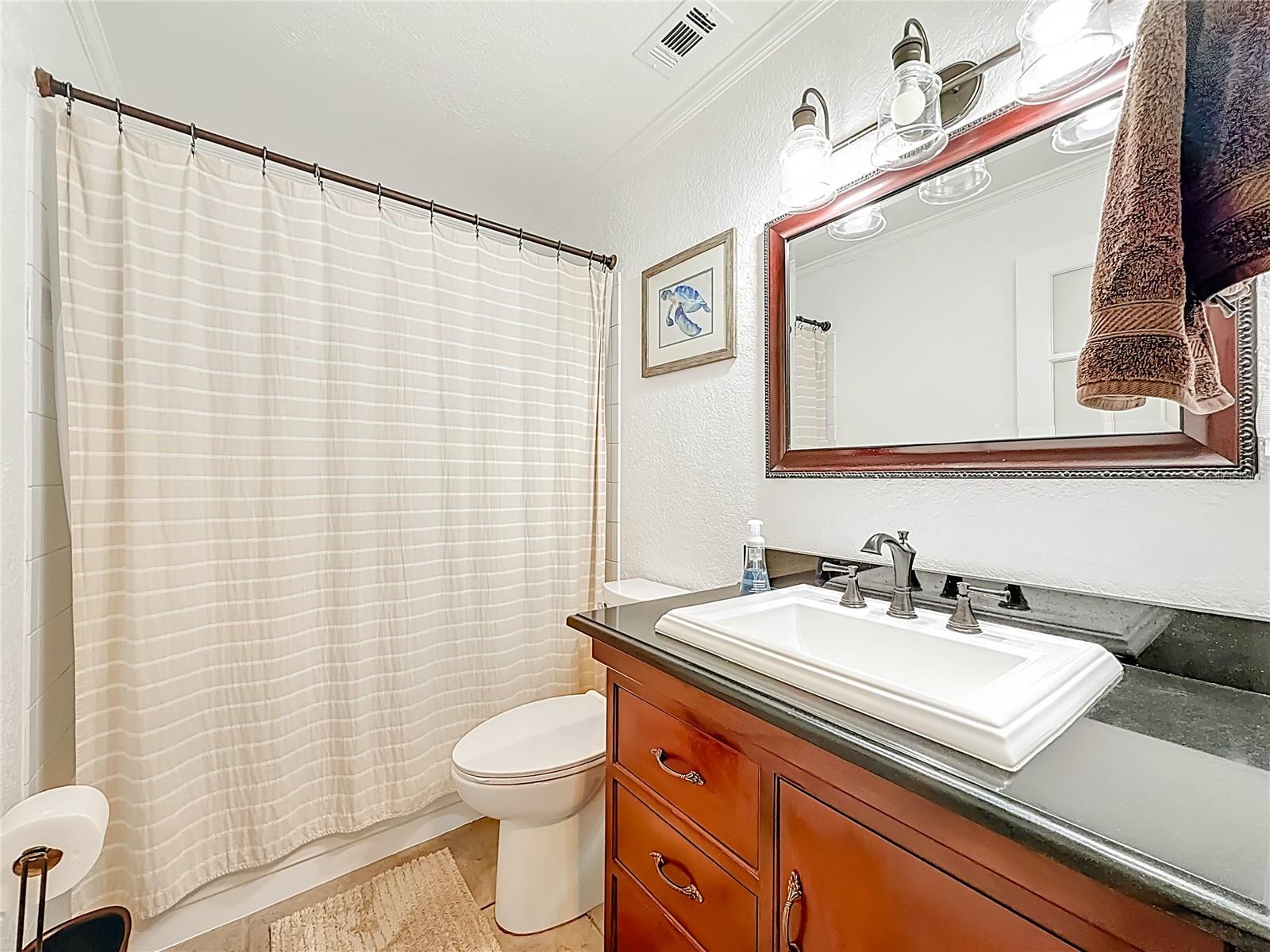2933 Lichen Lane A - bath has been updated