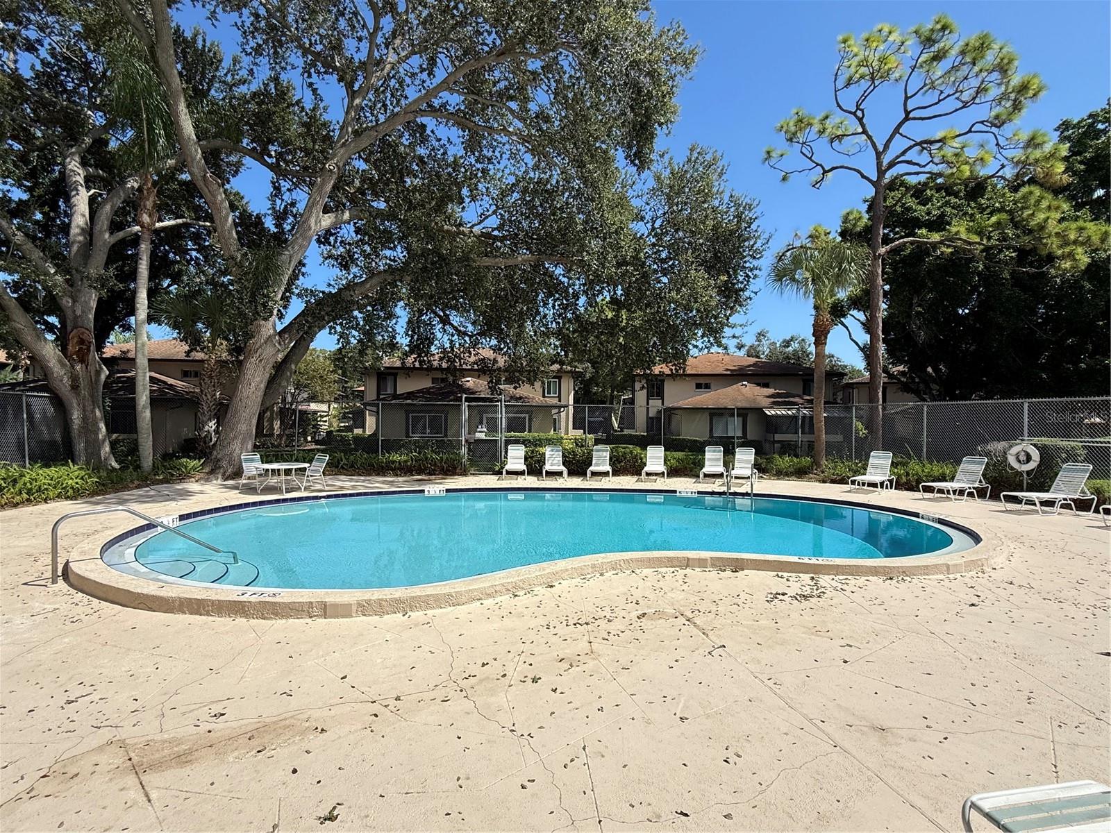 Eastwood Shores community pool, just across Lichen Lane from 2933
