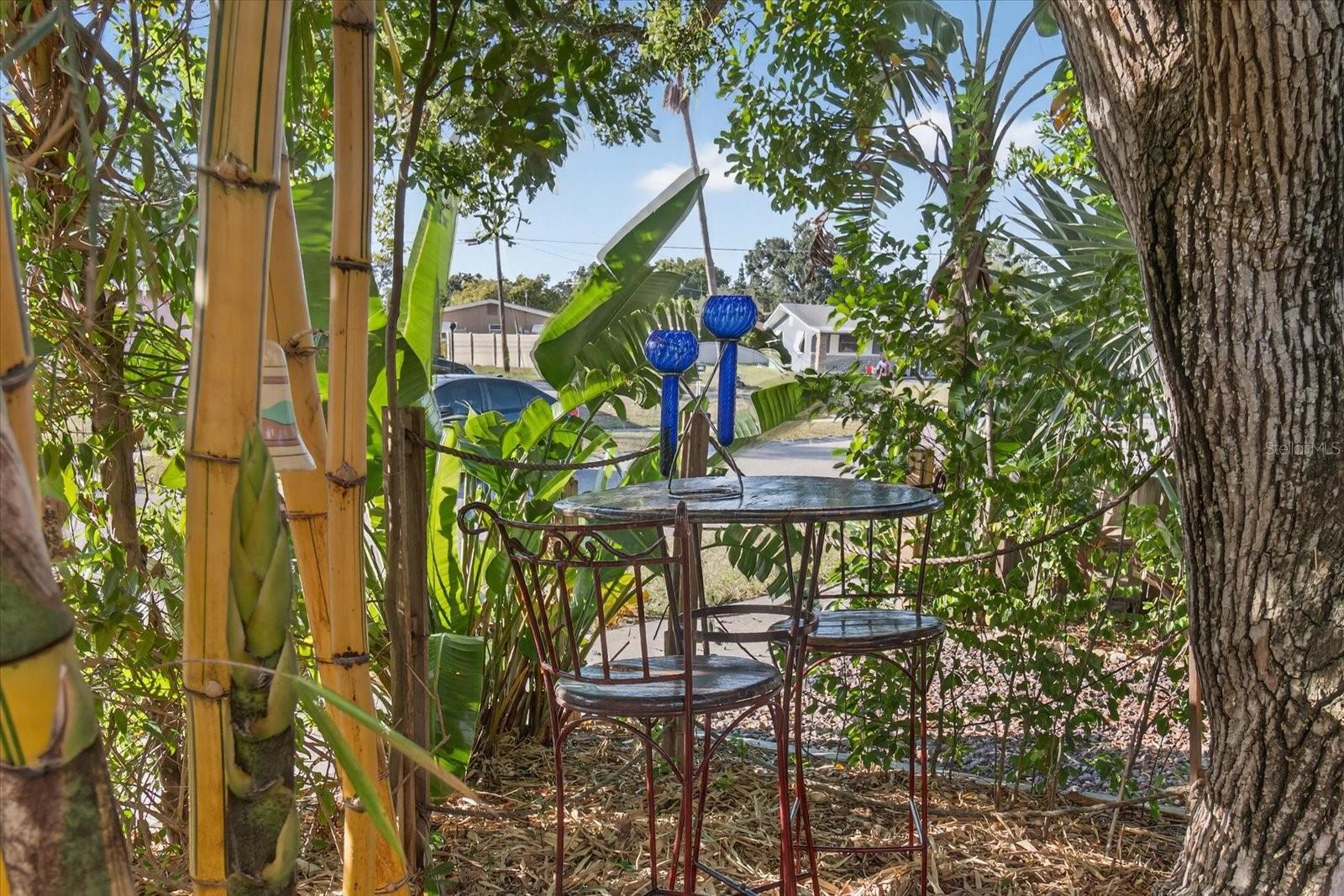Front Yard