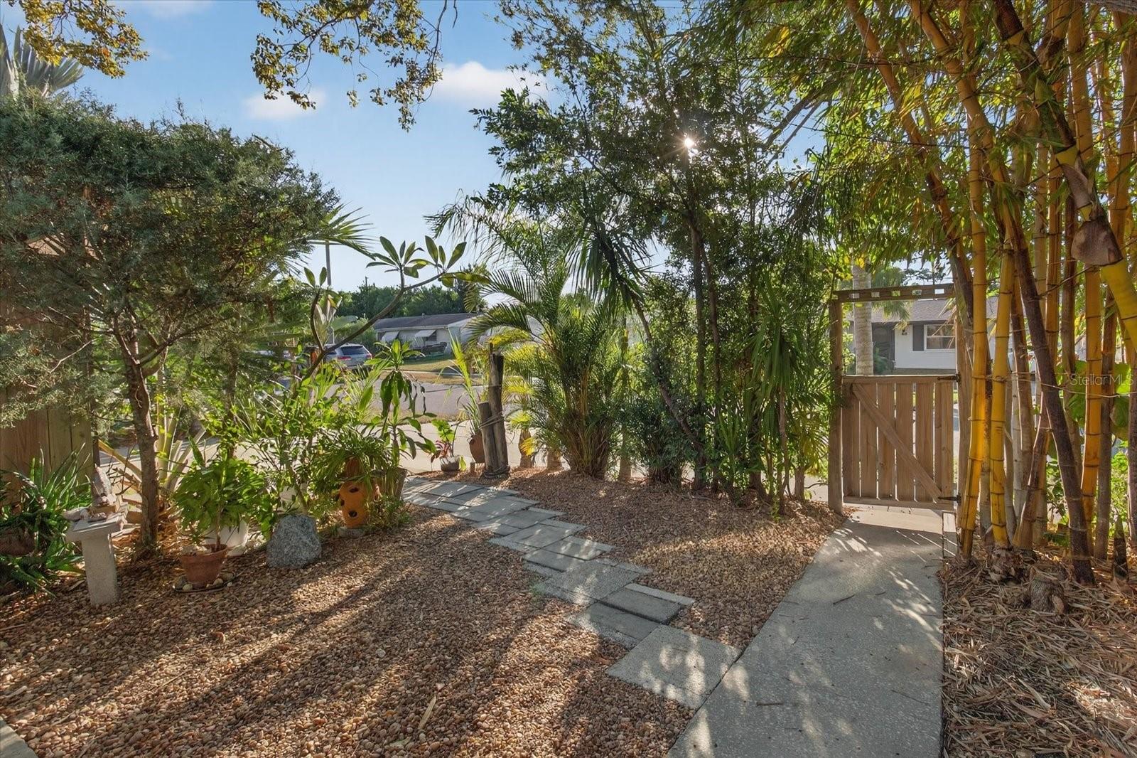 Front Yard