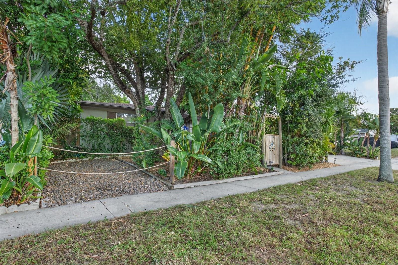 Front Yard w/extra parking