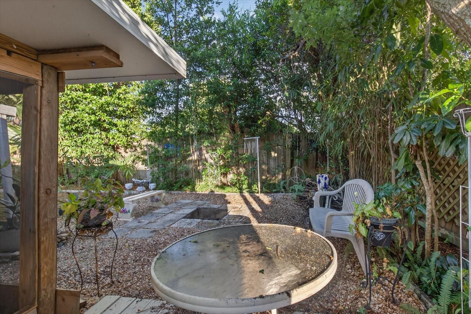Backyard