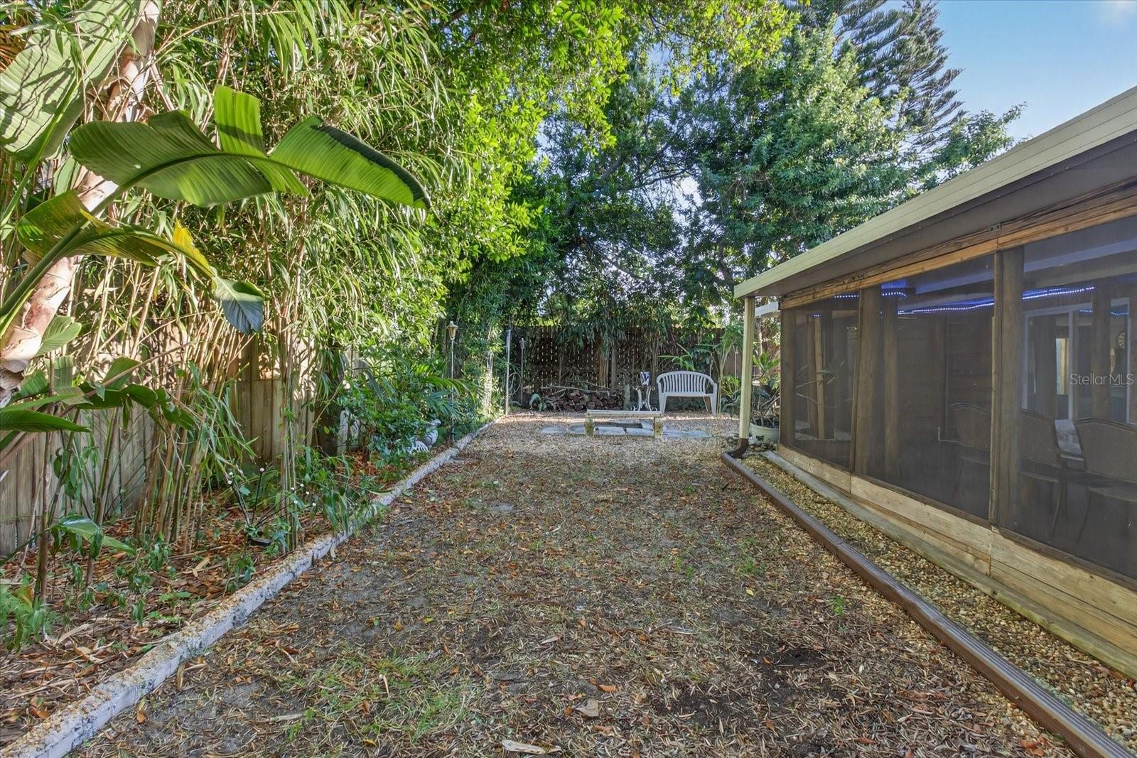 Backyard w/Tropical Trees and plants