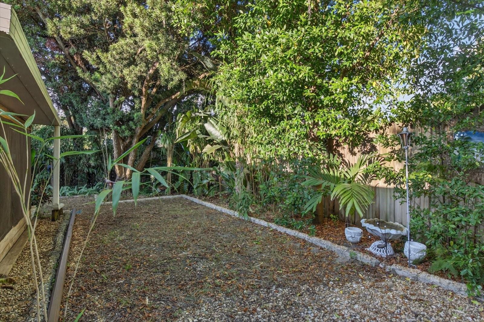 Backyard w/Tropical Trees and plants