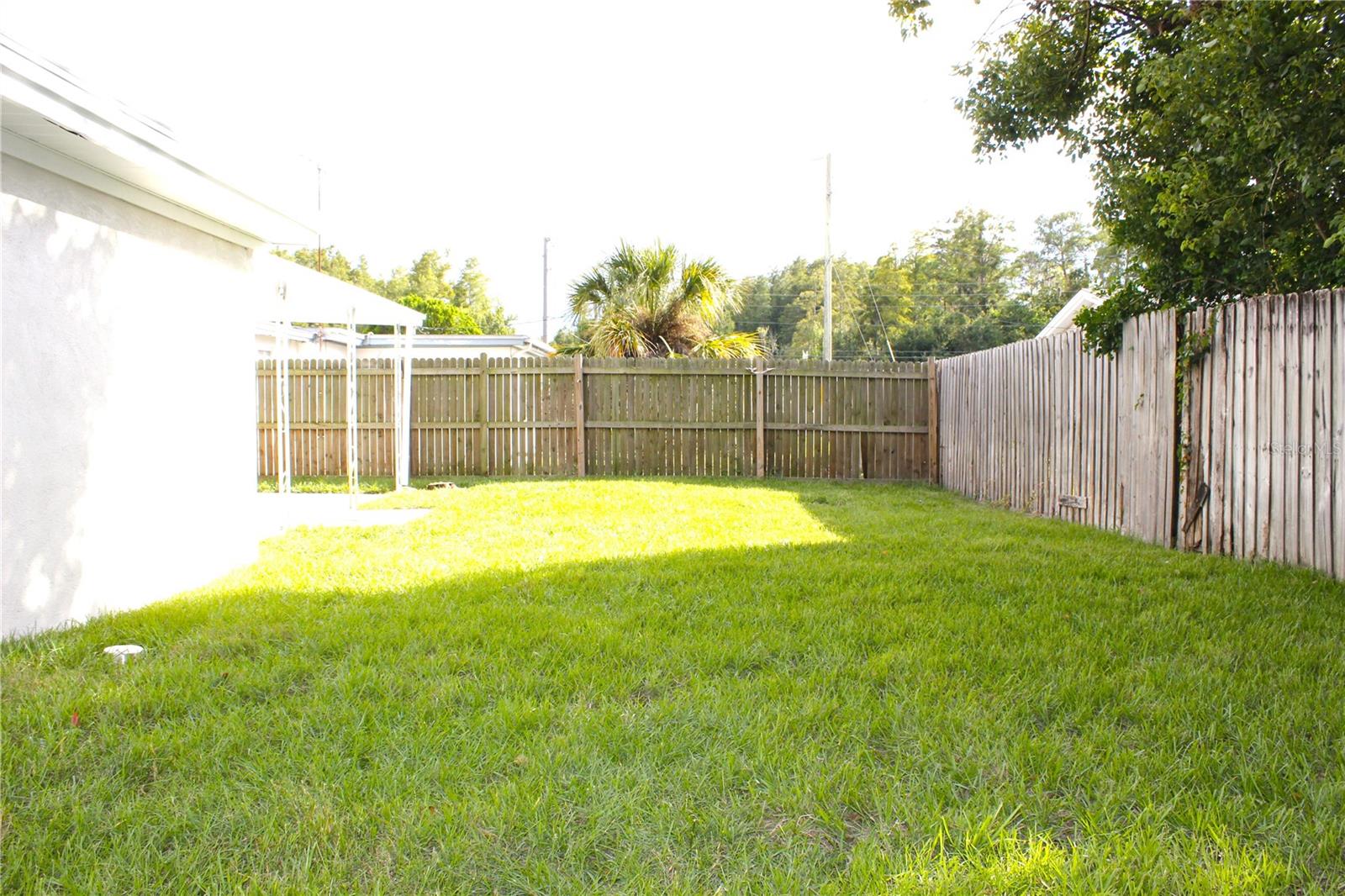 BACKYARD