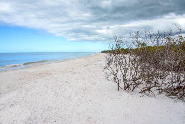 Honeymoon Island