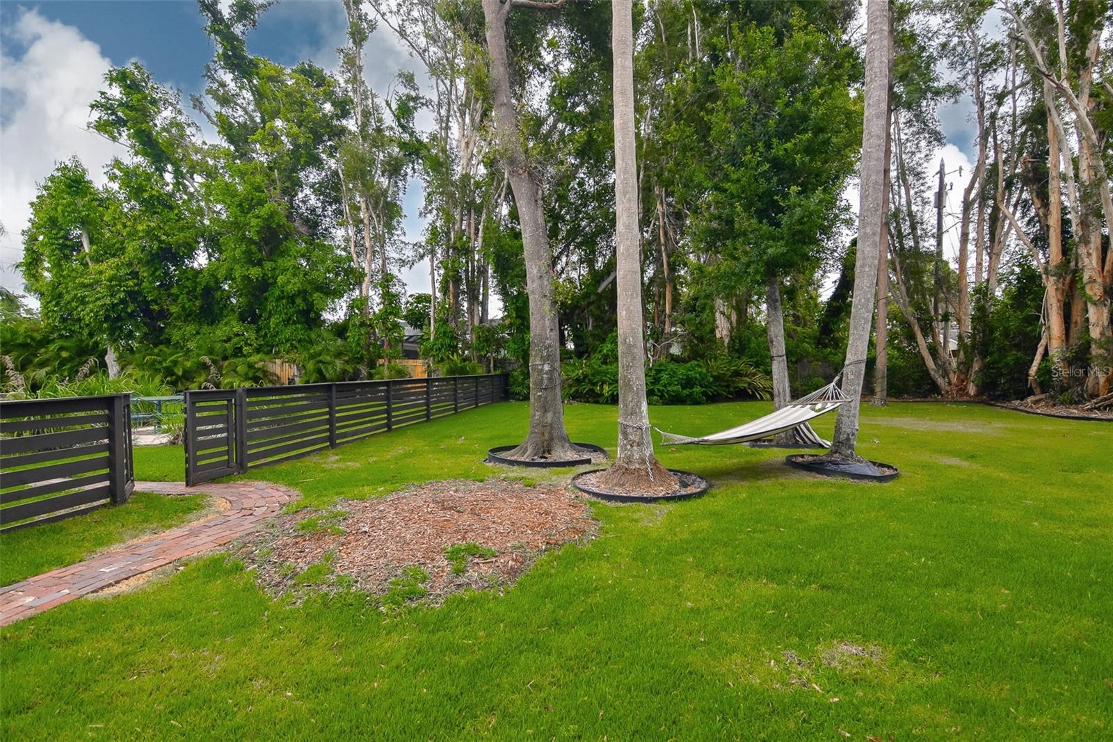 Backyard