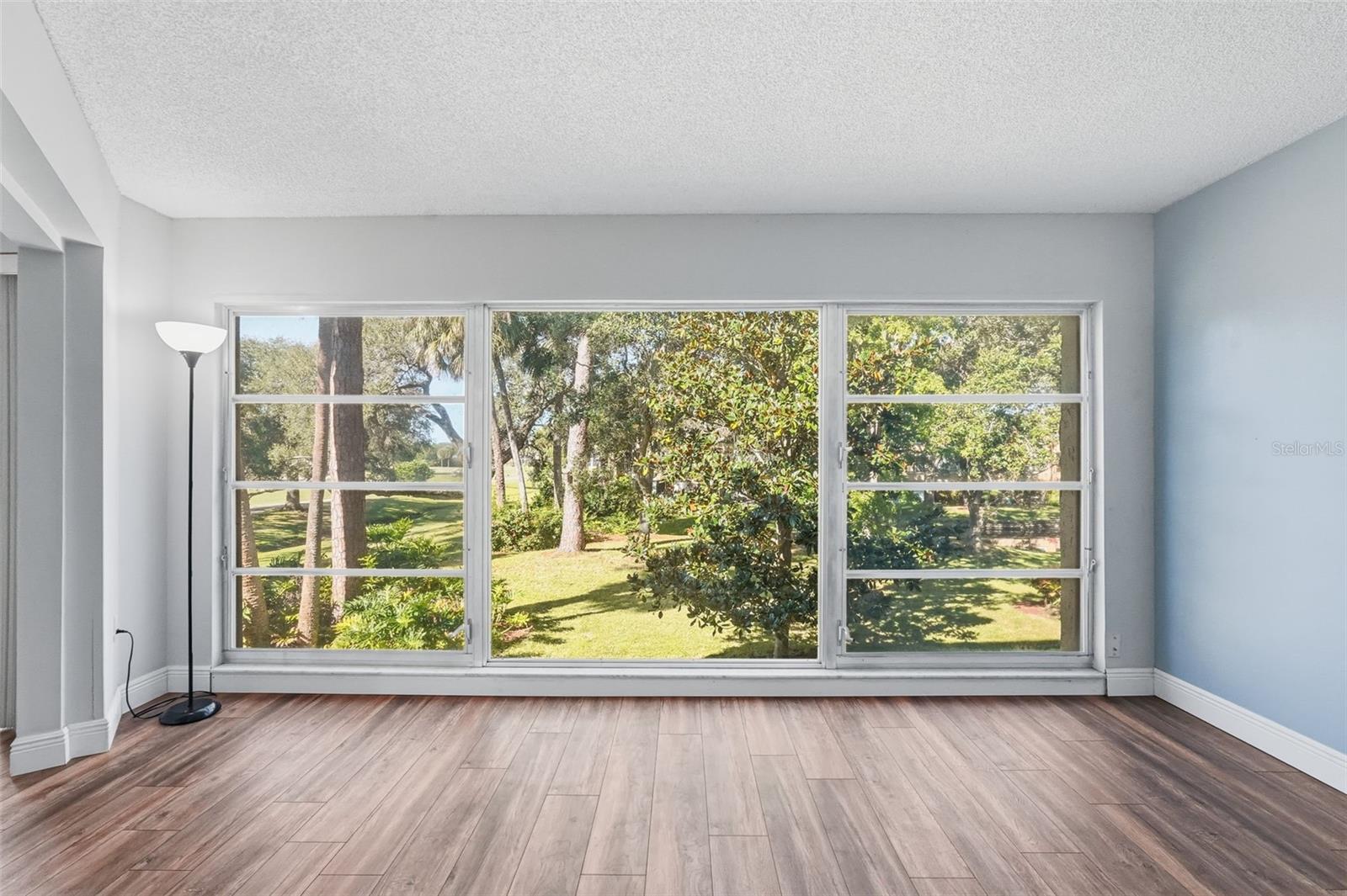 View from Living Area