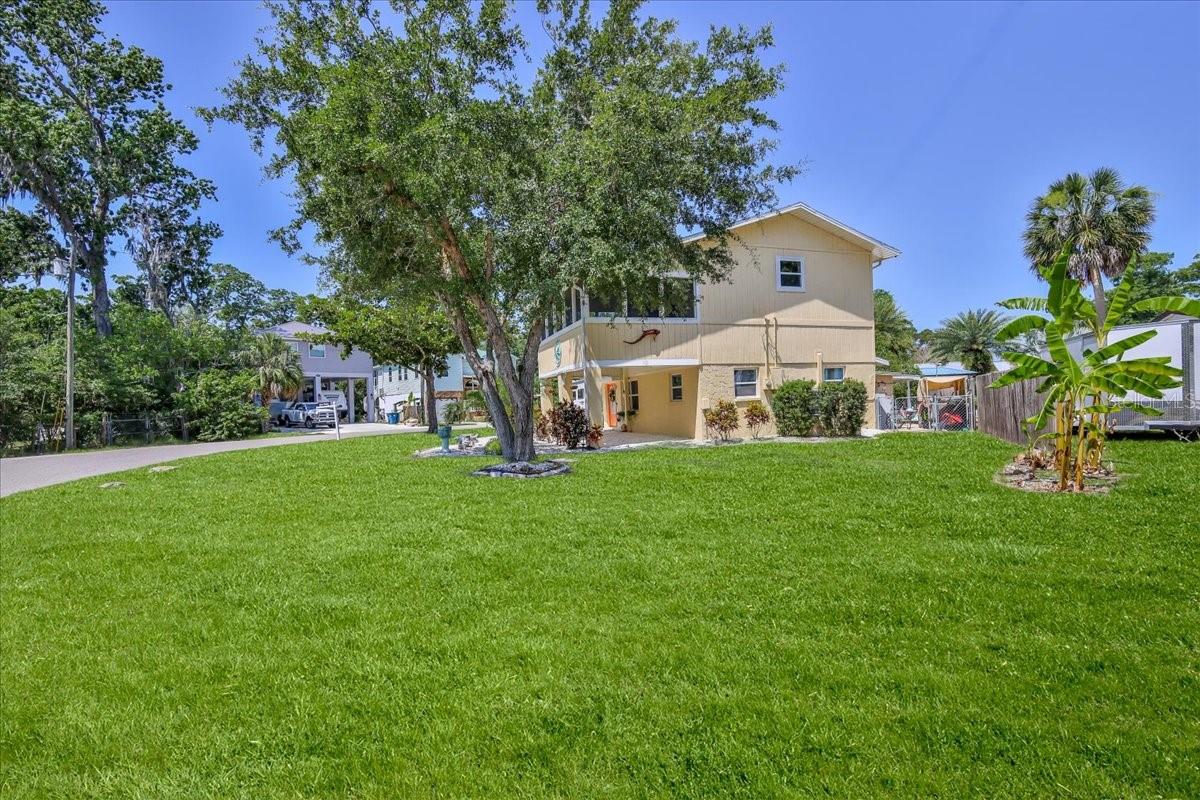 Lots of Parking - Carport plus on the Property