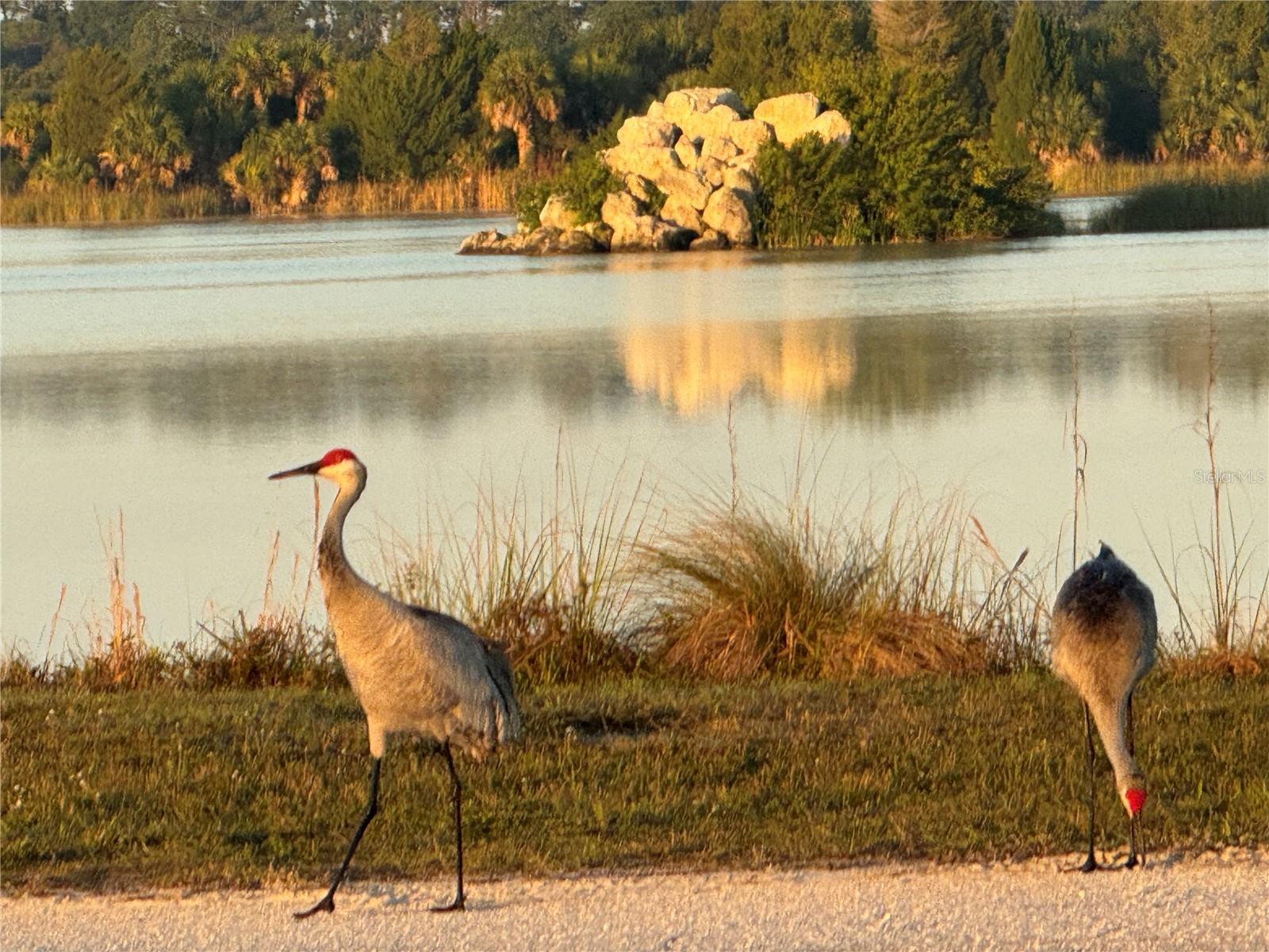Nature Coast