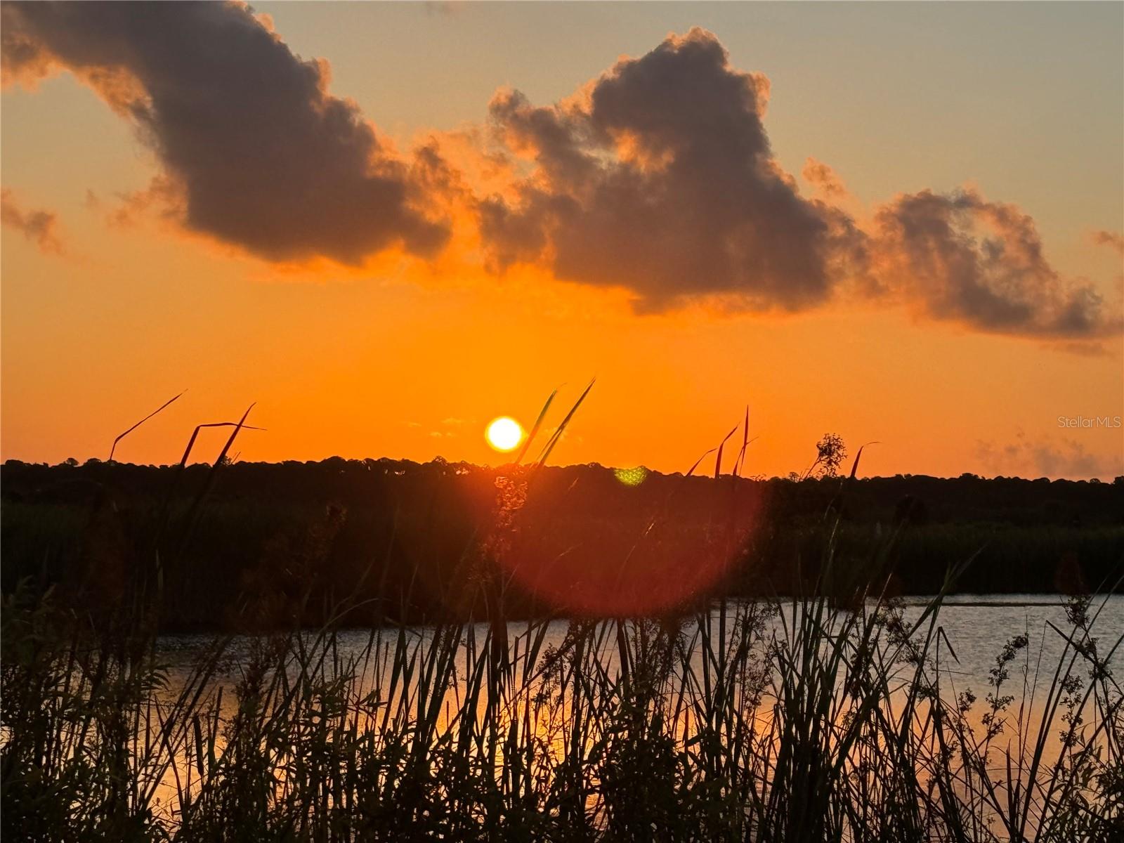 Weeki Wachee Sunrise