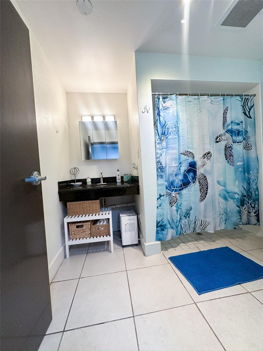 Wheelchair-Accessible Bathroom
