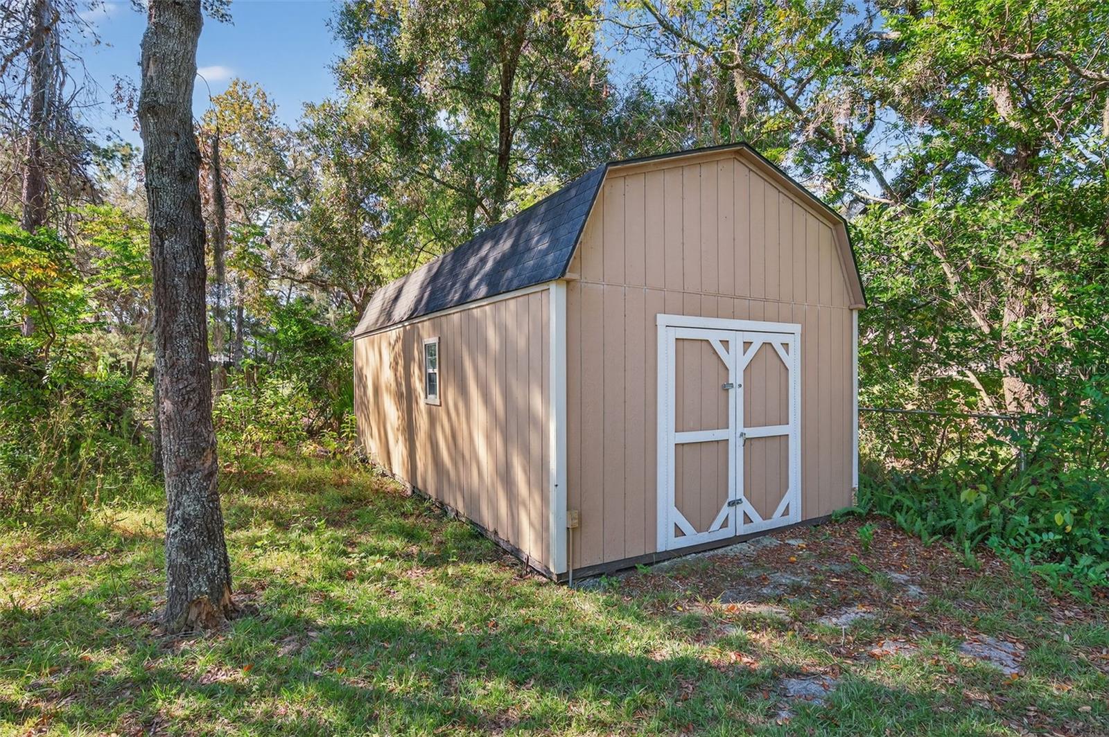 Shed