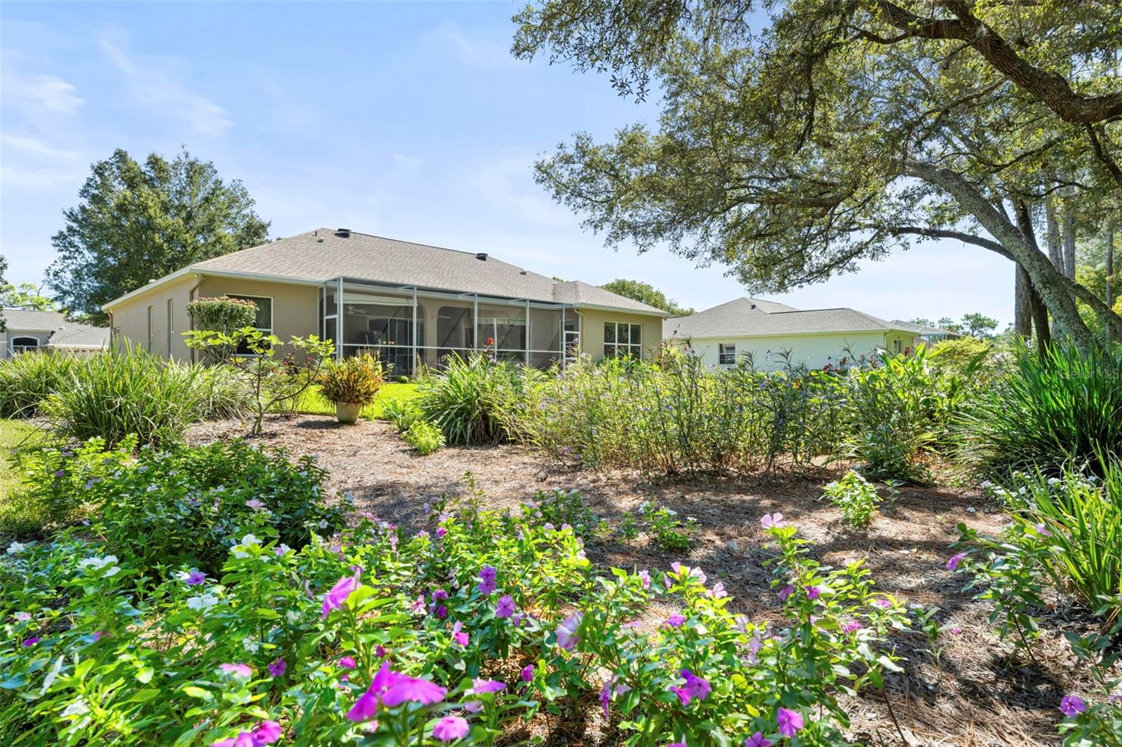 Backyard Flower Garden