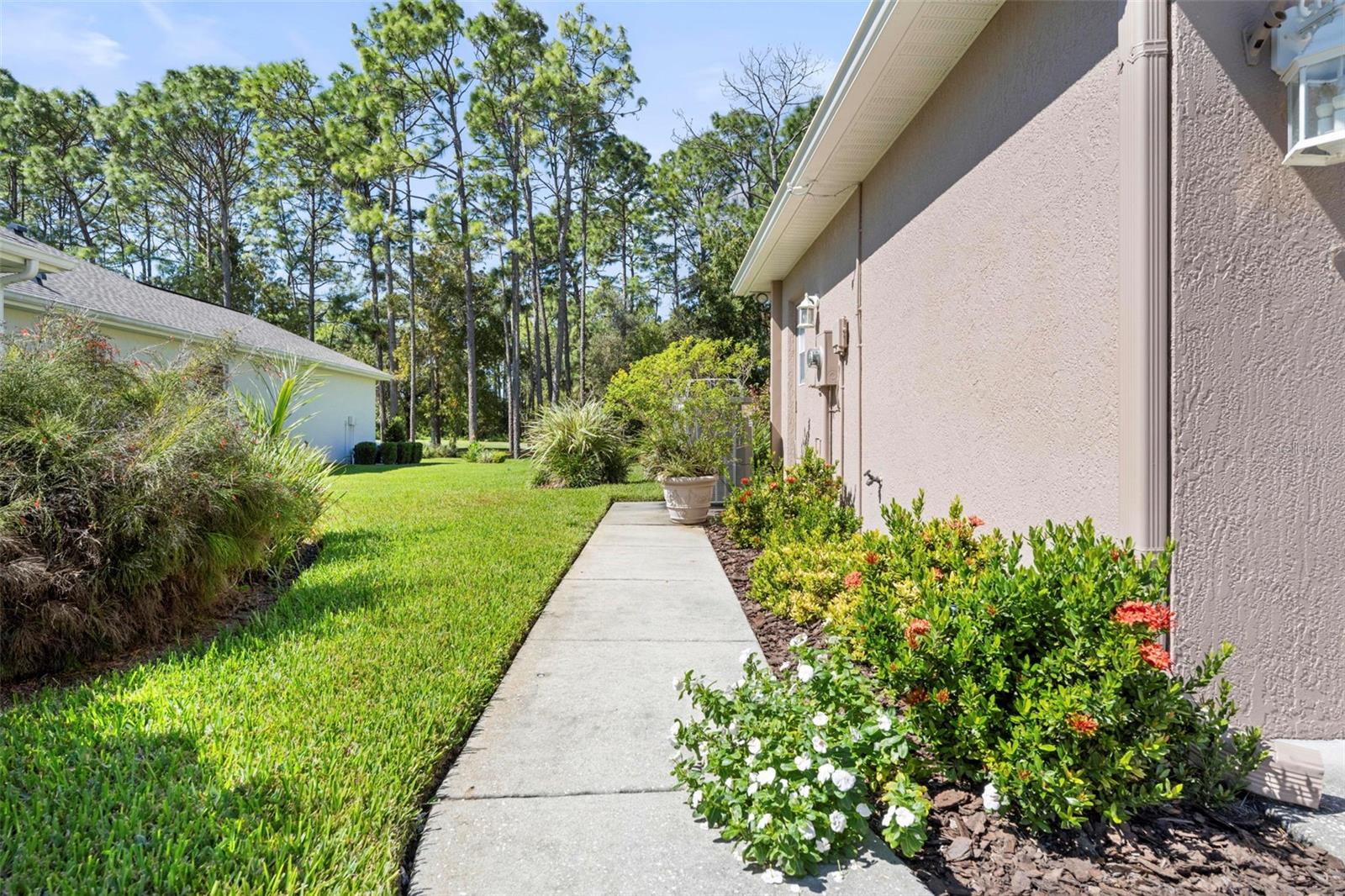 Sidewalk on Side of House