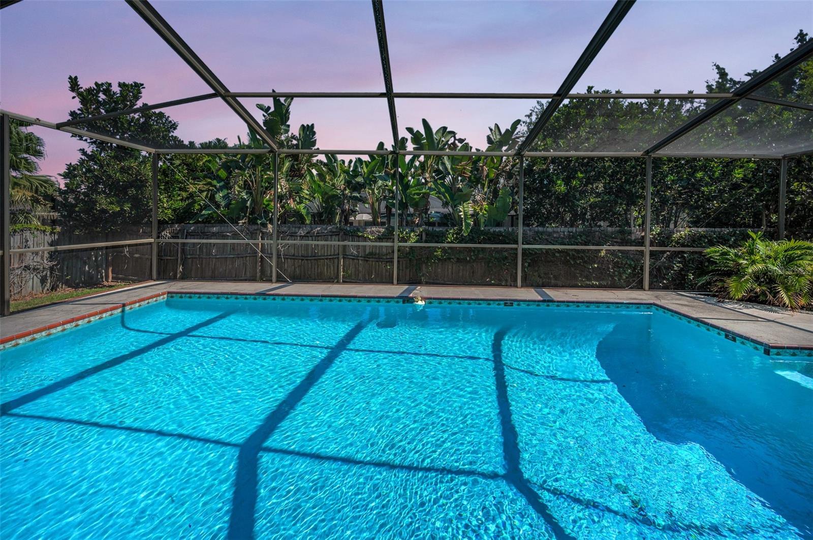 Pool views