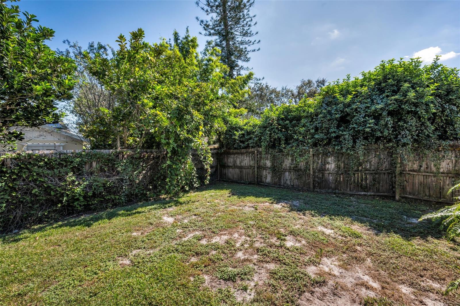 Back yard