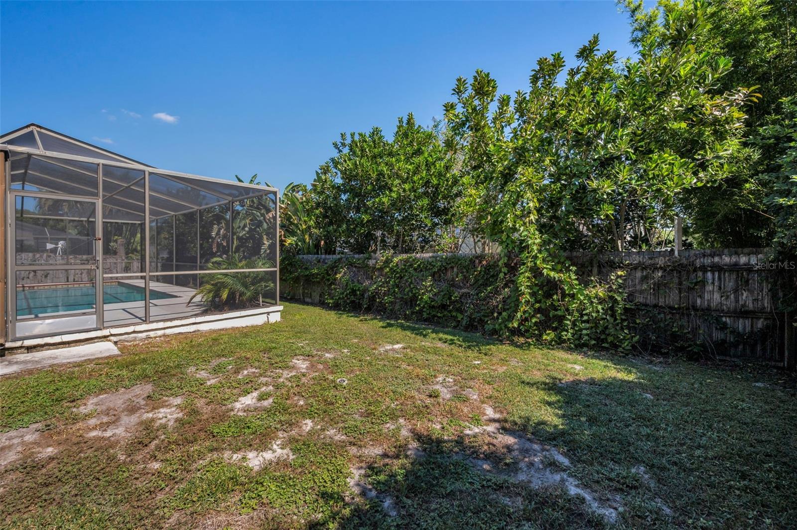 Back yard