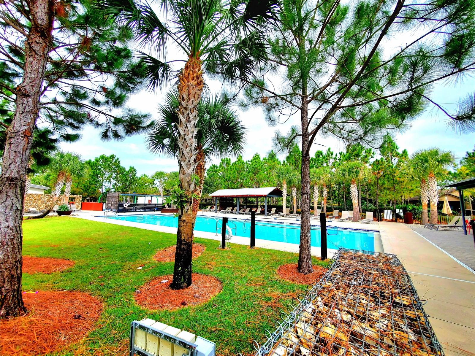 NEIGHBORHOOD POOL