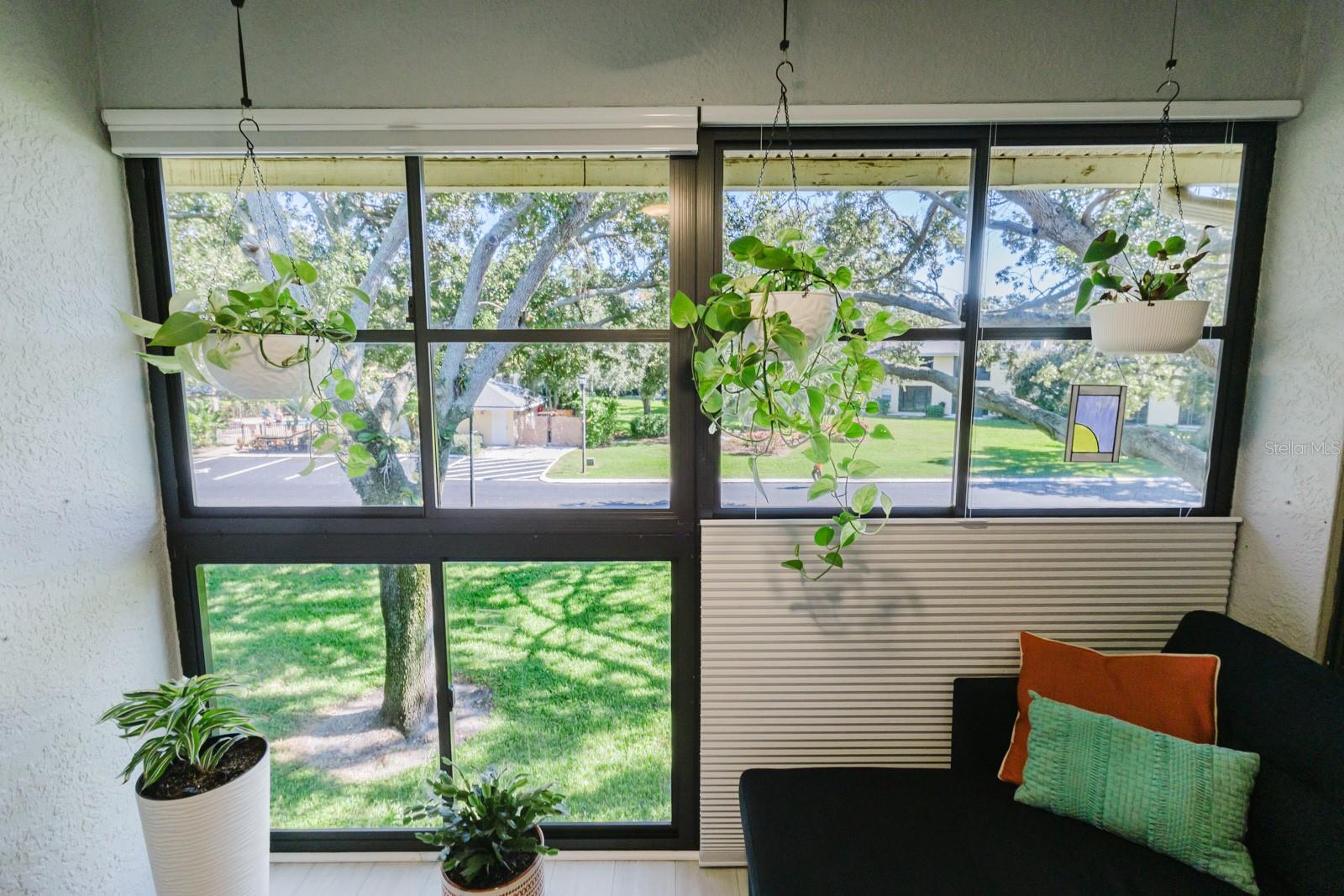 Balcony view