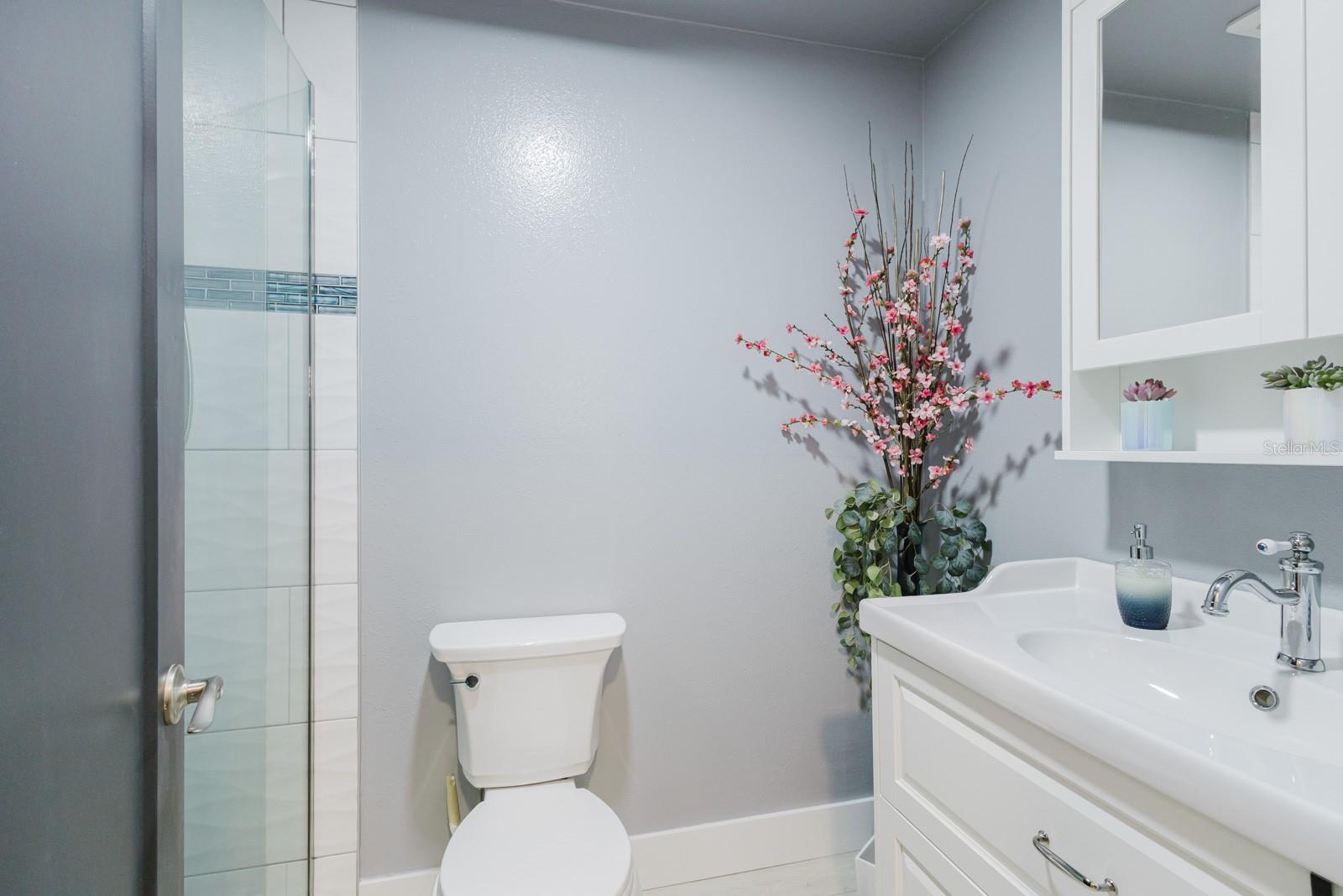 Guest bathroom