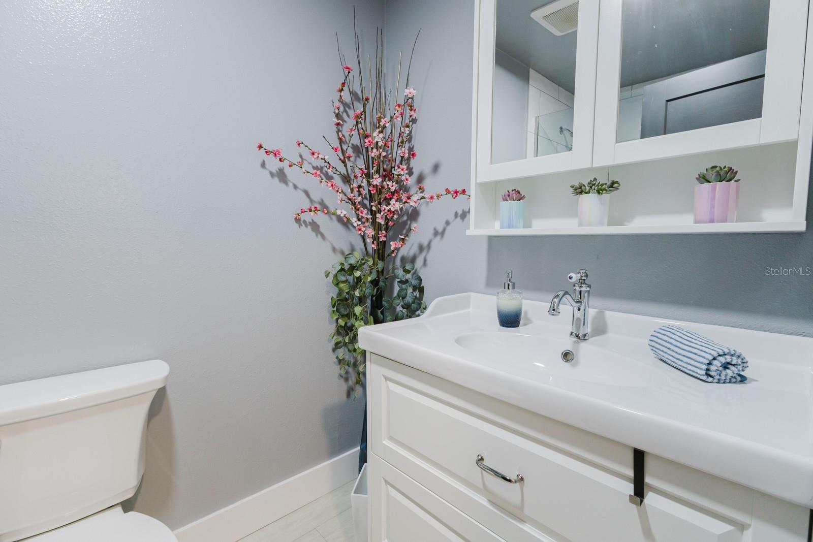 Guest bathroom