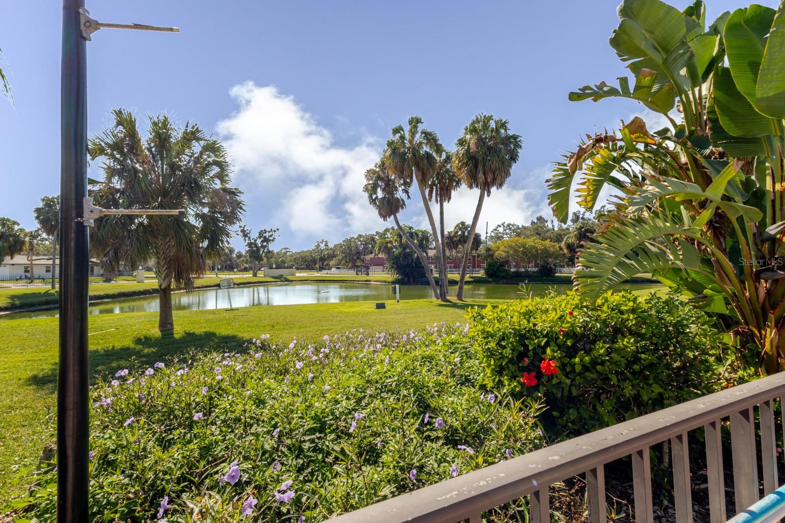 Lake view from pool