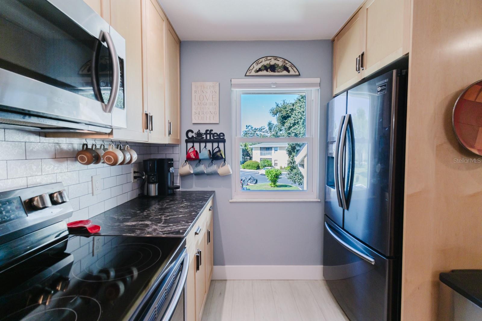 Kitchen, black stainless appliances