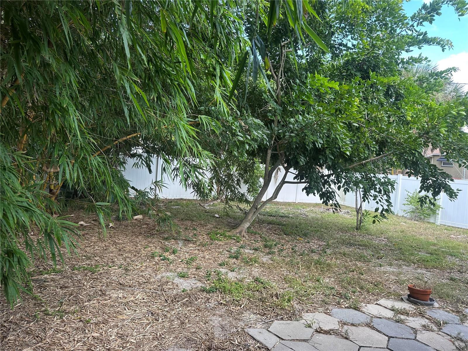O6353289