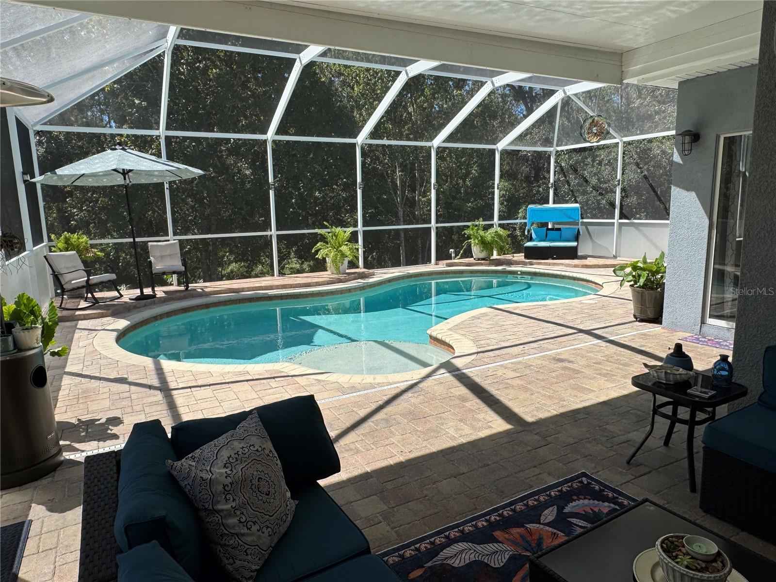Backyard Oasis