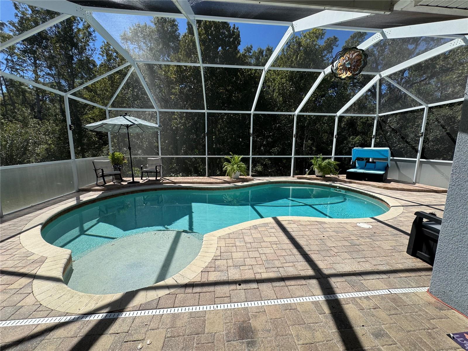 Pool has sunshelf for lounging and no neighbors behind you.