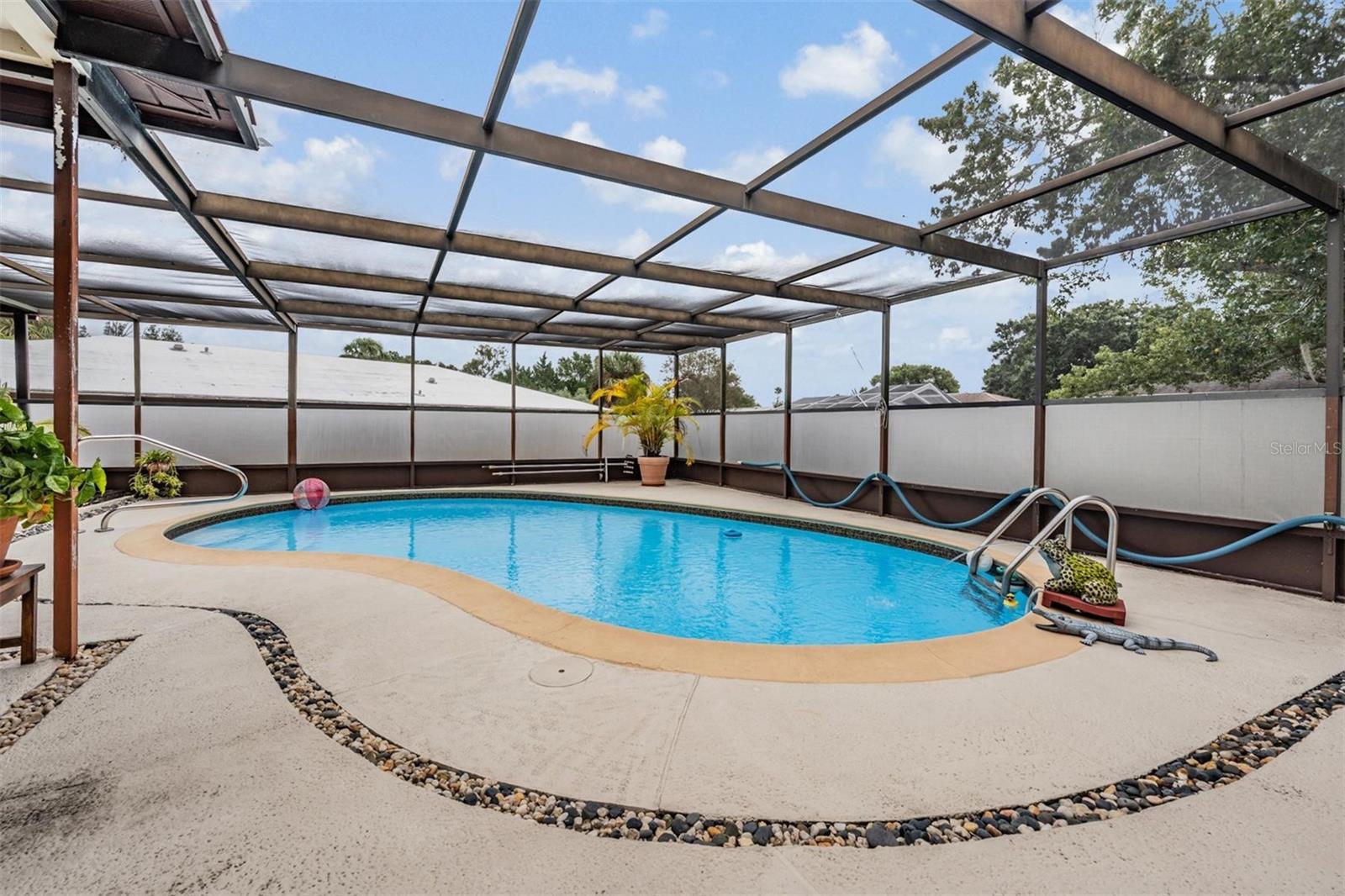 Pool and birdcage